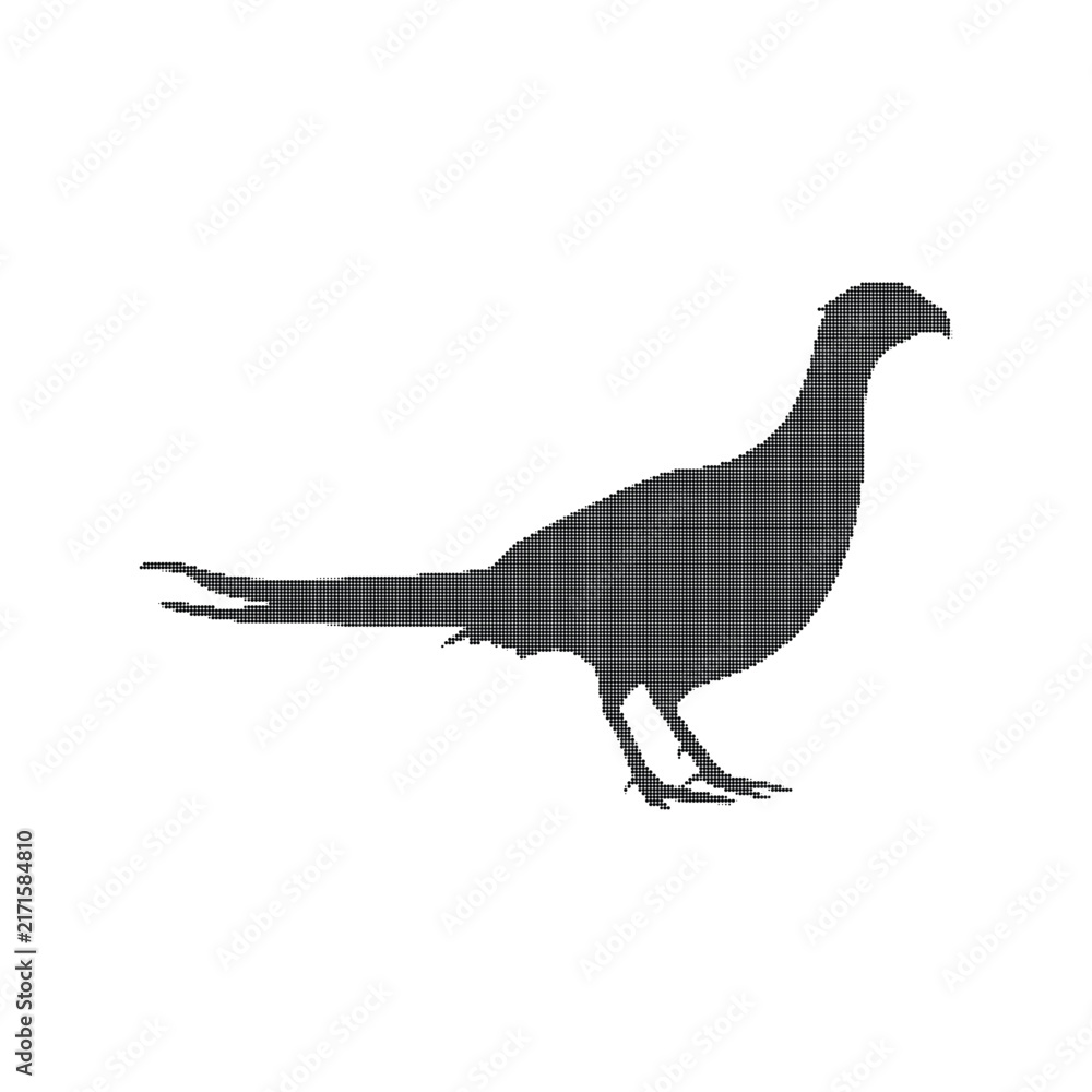 Fototapeta premium Black silhouette of a standing pheasant bird facing right on a plain white background
