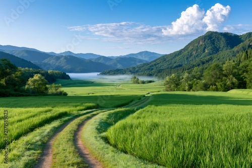 Winding road in lush green rice fields during morning mist