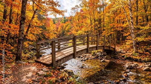 Wooden bridge crossing a scenic mountain stream surrounded by vibrant autumn forest foliage