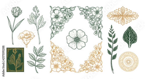 Ornate Floral Botanical Elements, Decorative Vintage Design Collection