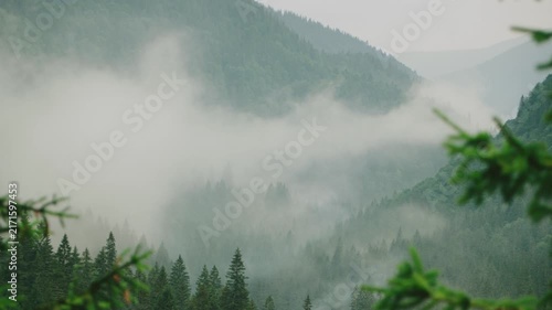 Fog moves through a forest valley in the morning light with green trees surrounding the area