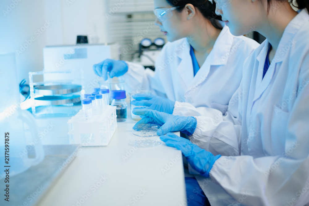 Fototapeta premium Asian female scientist holding a test tube with liquid sample during scientific research in a modern biotechnology laboratory.