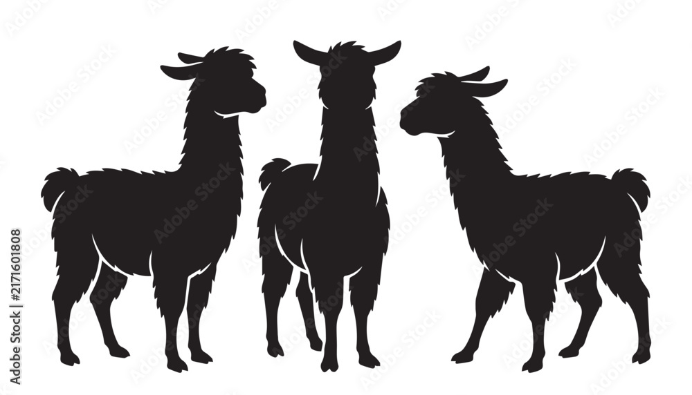 Naklejka premium black color silhouette set of three llama vector illustration, solid white background