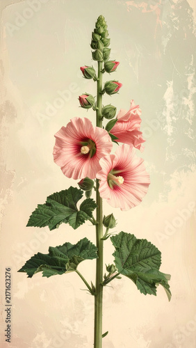 Hollyhock stalk with blossoms at full height in rich vintage chromolithograph plate generative AI