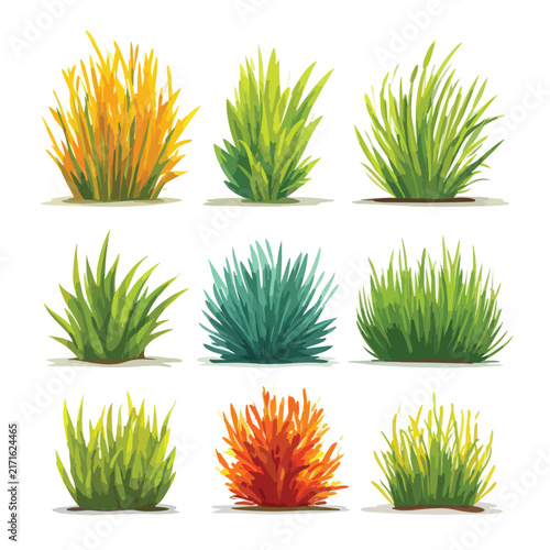 set of green grass