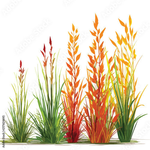 set of green grass