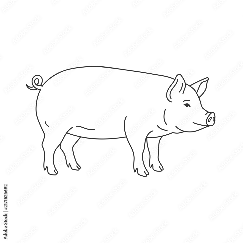 Obraz premium Pig illustration line art standing pig