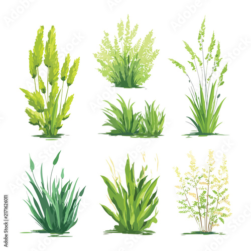 set of green grass