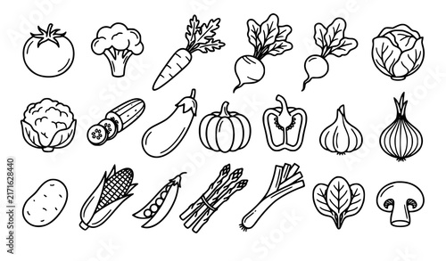 Organic Vegetable Outline Icons Set Fresh Tomato Broccoli Carrot and Garden Produce