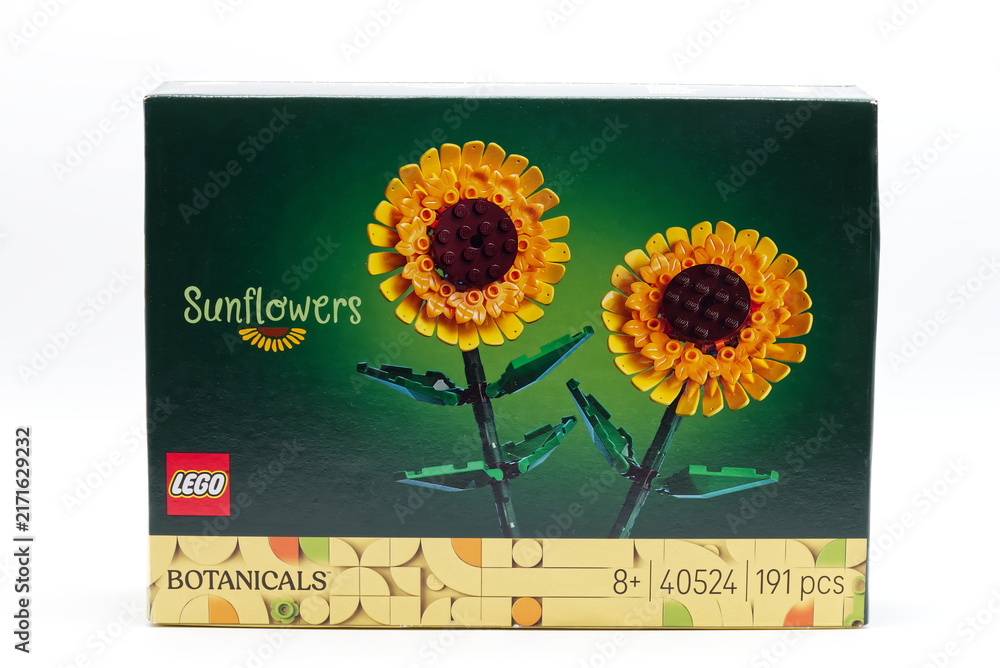Fototapeta premium Bologna - Italy - August 25, 2026: Lego botanical collection sunflowers building toy set box isolated on white background.