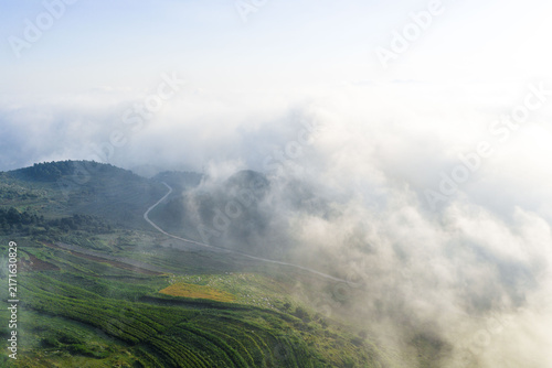 Foto Misty Mountain Landscape with Terraced Green Fields