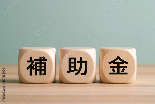補助金の文字ブロック
