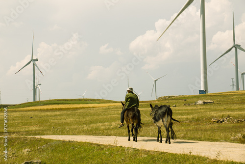 Rider and Donkey on Grassland Path with Wind Turbines