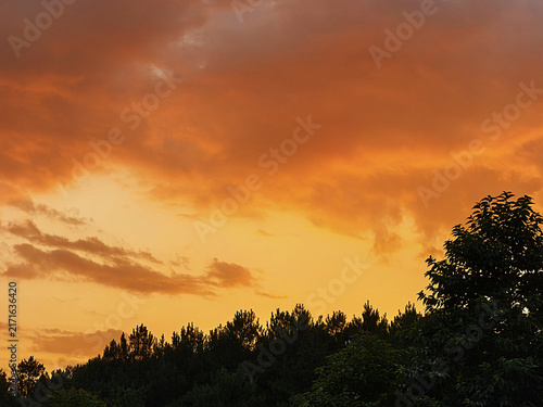 Dramatic Orange Sunset Sky Over Forest Treeline