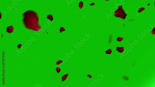 Red rose petals float and fall gracefully against a solid green screen background for romantic video projects.