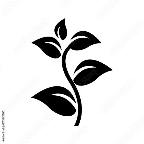 Elegant botanical branch logo with curved stems and leaves, suitable for natural branding
