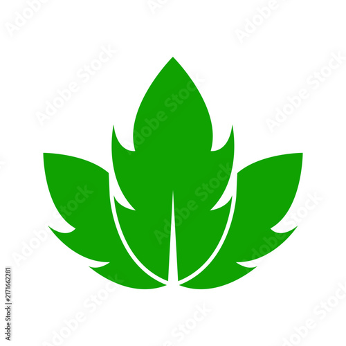 Decorative botanical leaf emblem with multiple foliage elements, suitable for natural branding