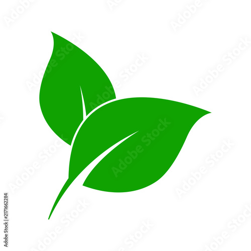 tylized two-leaf botanical logo with curved natural shapes, suitable for organic products, gardening, wellness, environmental branding, and nature-related designs.