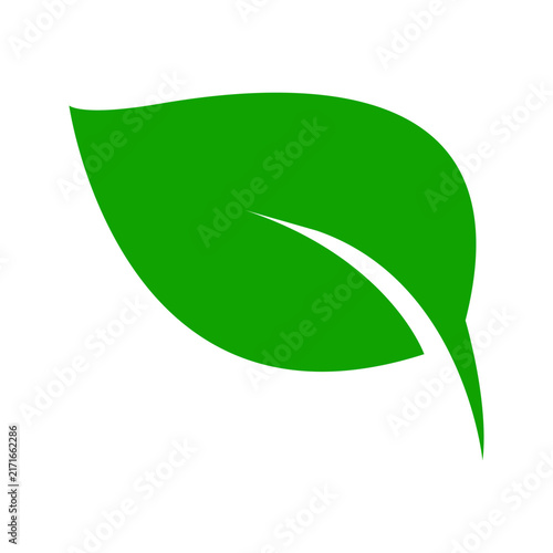 Simple Leaf Logo and Nature Symbol