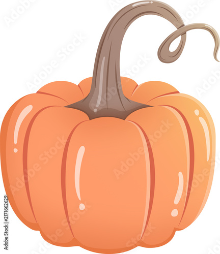 A charming vector illustration of a single bright orange pumpkin with a long curved stem, isolated on a clean white background