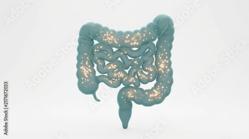 3D Illustration of Human Intestinal Tract with Probiotic Bacteria and Healthy Gut Microbiome Isolated