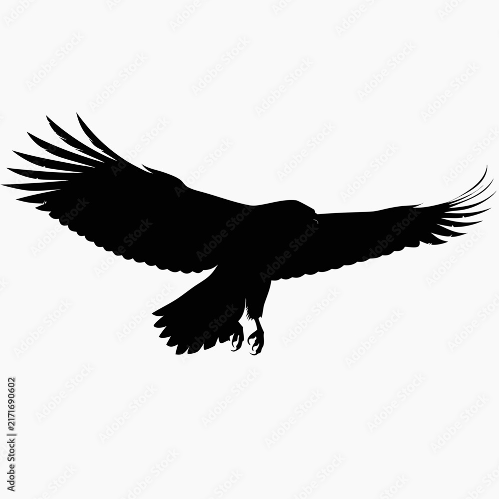 Obraz premium Eagle silhouette vector, soaring hawk bird of prey icon, black flying falcon graphic for logo design and wildlife branding