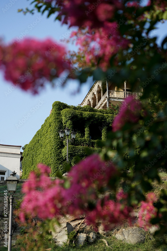 Fototapeta premium Ivy covered building with ornate Georgian balcony