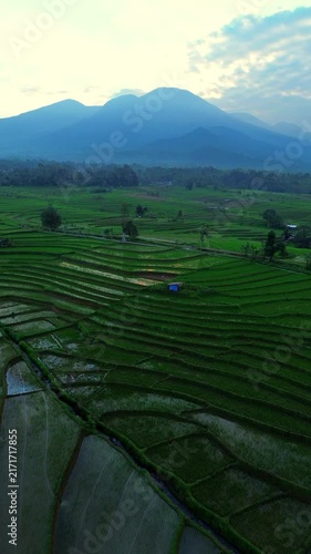 the beauty of the foggy morning panorama with sunrise and rice fields in Bengkulu, indonesia, asia