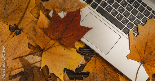 Workspace with a laptop surrounded by autumn leaves on a wooden desk