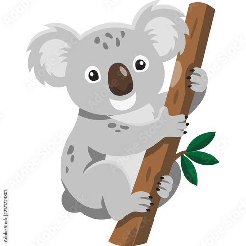 Animal Illustration