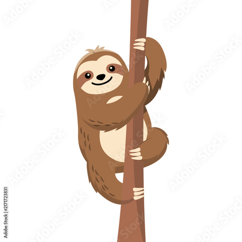 Animal Illustration