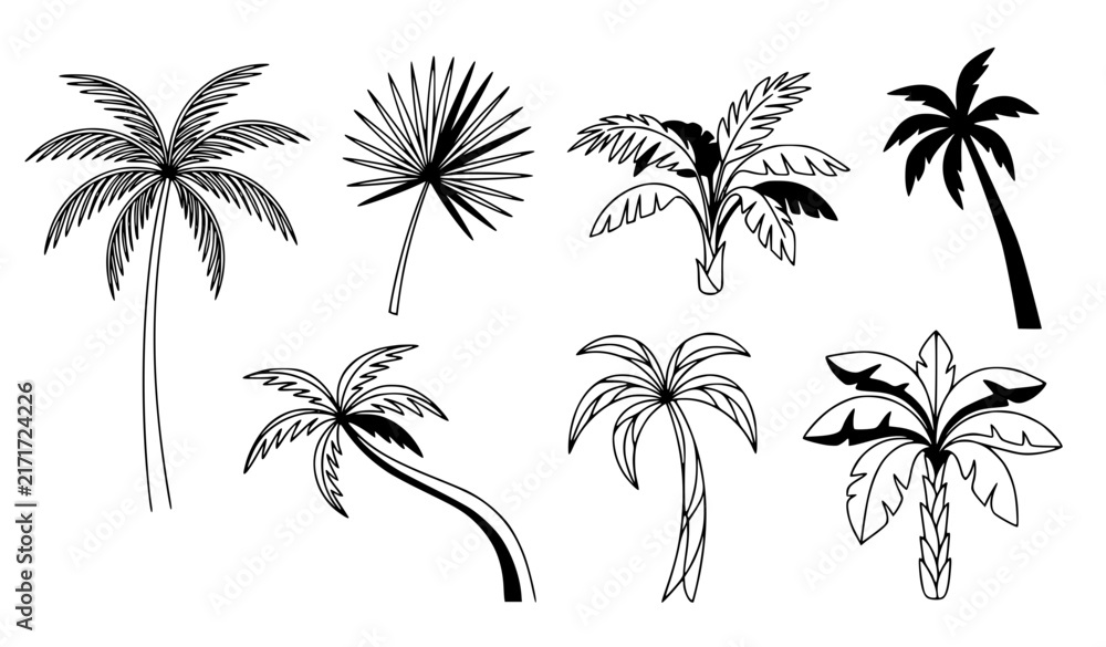Fototapeta premium Minimal Hand Drawn Tropical Palm Tree Line Art Vector Collection