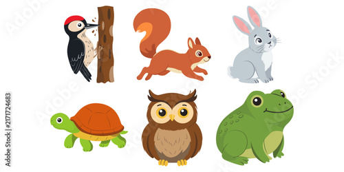 Animal Illustration