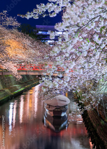 Night cherry blossoms along Suimon River with boat and red bridge at Oku no Hosomichi Musubi no Chi Ogaki Gifu Japan


