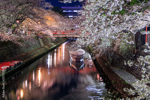 Night cherry blossoms along Suimon River with boat and red bridge at Oku no Hosomichi Musubi no Chi Ogaki Gifu Japan


