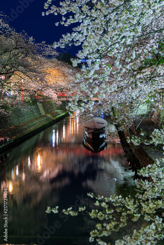Night cherry blossoms along Suimon River with boat and red bridge at Oku no Hosomichi Musubi no Chi Ogaki Gifu Japan

