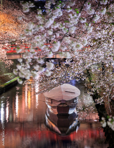 Night cherry blossoms along Suimon River with boat and red bridge at Oku no Hosomichi Musubi no Chi Ogaki Gifu Japan

