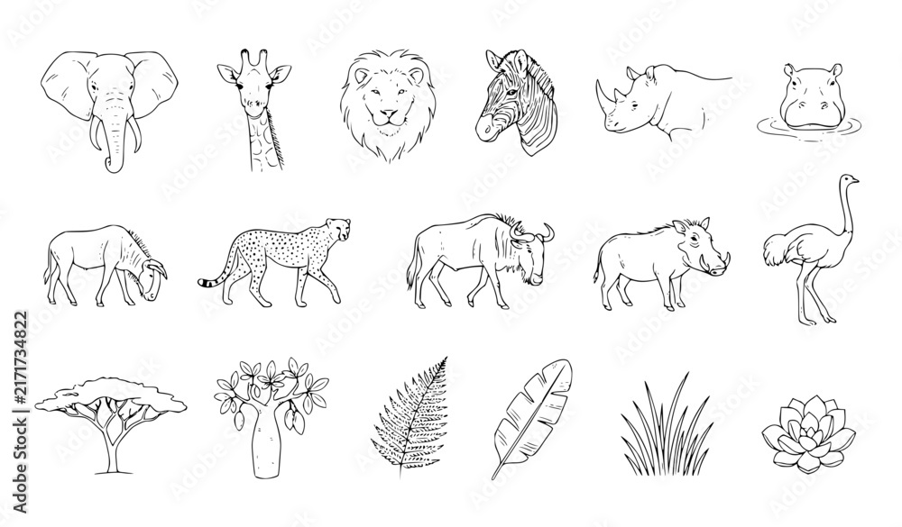 Obraz premium African Safari Wildlife Doodle Vector Set Minimalist Animals Botanical Hand Drawn Line Art