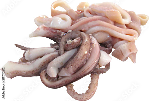 Canvastavla Squid Isolated On Transparent Background