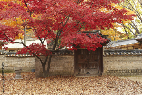 Photography 연경당,창덕궁,종로구,서울