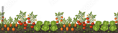 Vibrant cartoon vegetable garden border with growing tomatoes. carrots. and lettuce in fertile soi