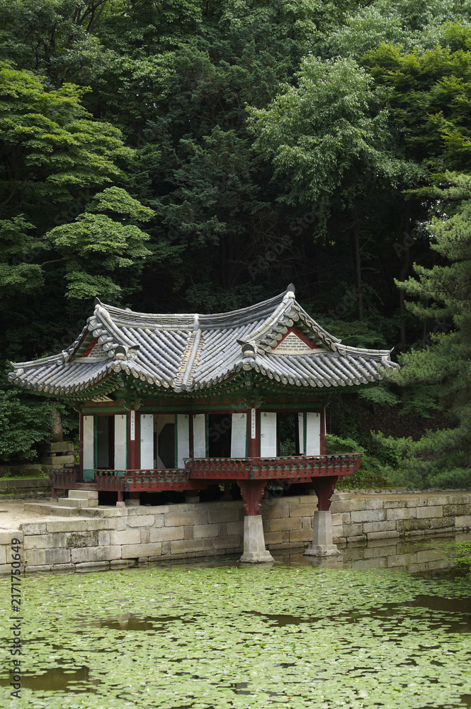 Fototapeta premium 부용정,비원,창덕궁,종로구,서울
