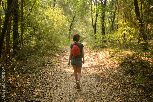 Obraz na płótnie Femme de dos, d'allure sportive, qui marche seule en fôret en été