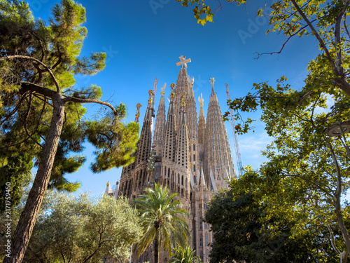 Majestic view of the iconic Sagrada Familia basilica in Barcelona framed by lush green trees under a bright clear blue summer sky with vibrant natural light.