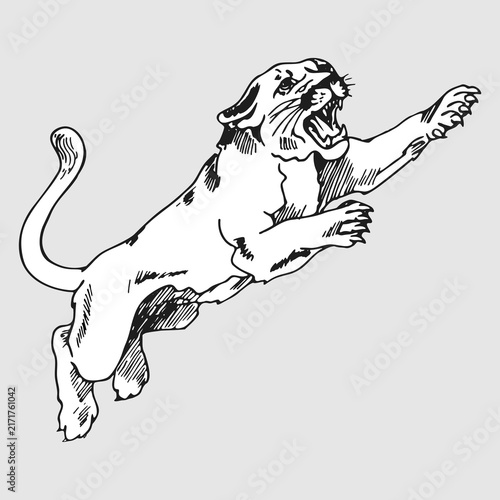 Photography Dynamic Line Drawing of a Leaping Cougar