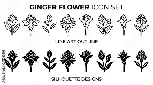 Ginger flower icon set featuring line art outline and silhouette designs