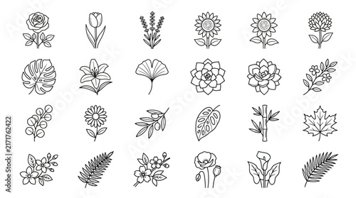 Set of twenty botanical flower and plant line art outline icons