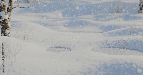 Pristine winter snow drifts.