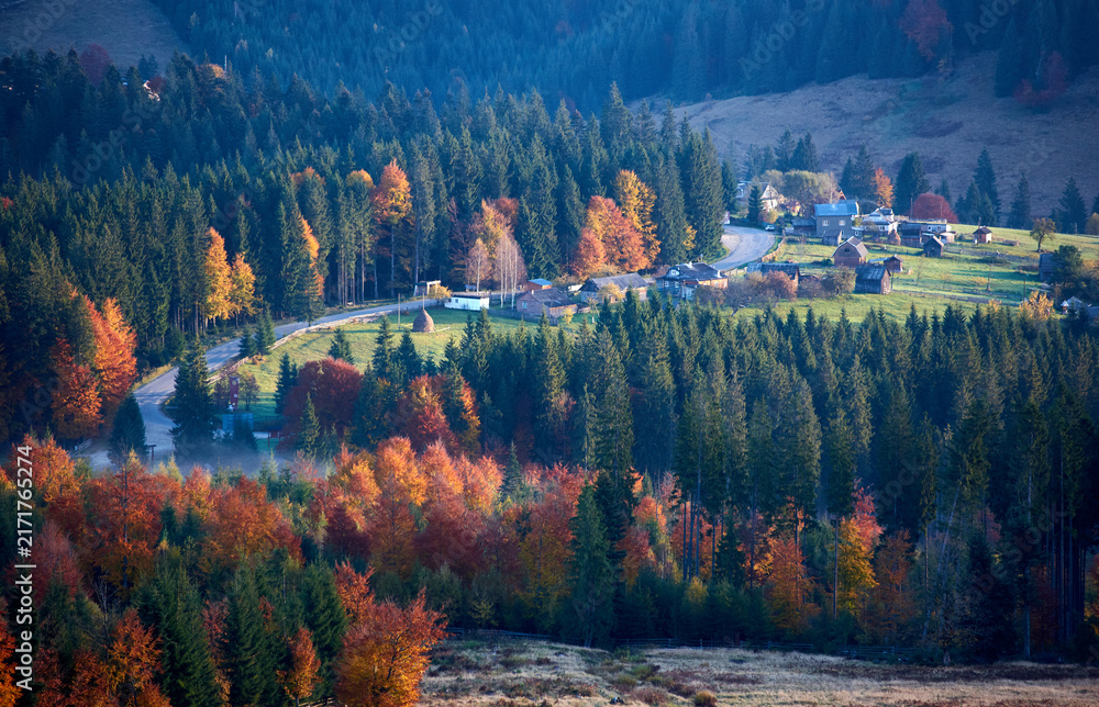 Naklejka premium Village surrounded by dense forest of evergreens and deciduous trees in full autumn colors.