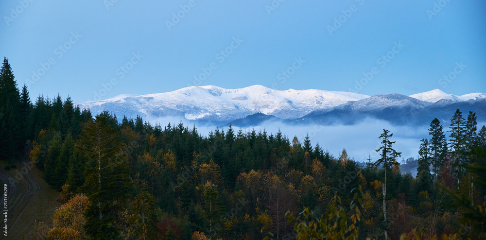Naklejka premium Snowy mountains and trees under blue sky.